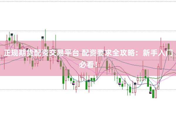 正规期货配资交易平台 配资要求全攻略：新手入门必看！
