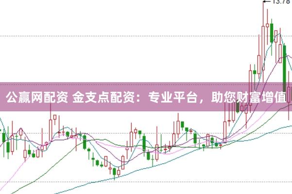 公赢网配资 金支点配资：专业平台，助您财富增值