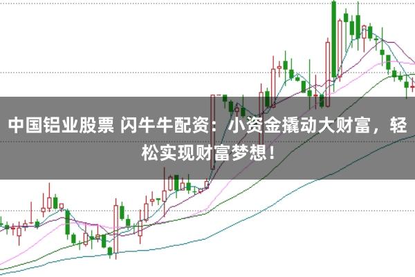 中国铝业股票 闪牛牛配资：小资金撬动大财富，轻松实现财富梦想！