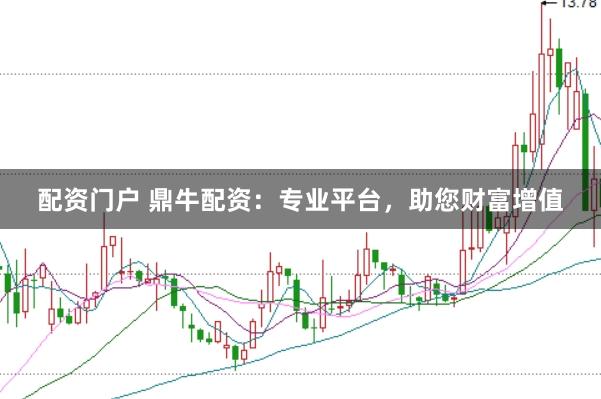 配资门户 鼎牛配资：专业平台，助您财富增值