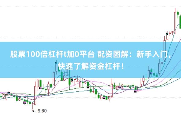 股票100倍杠杆t加0平台 配资图解：新手入门，快速了解资金杠杆！