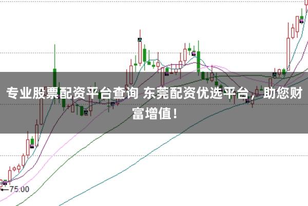 专业股票配资平台查询 东莞配资优选平台，助您财富增值！