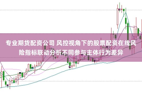 专业期货配资公司 风控视角下的股票配资在线风险指标联动分析不同参与主体行为差异