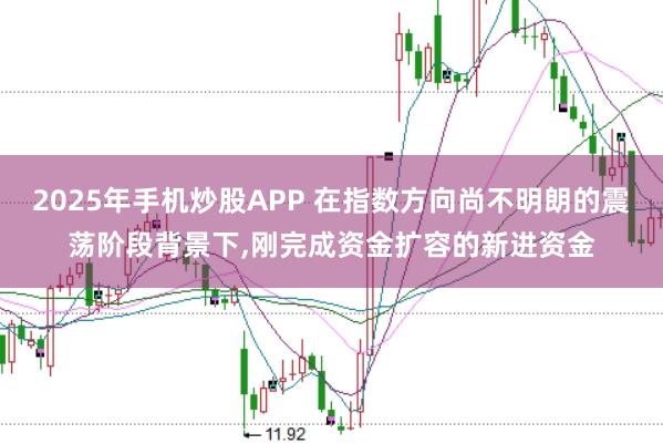 2025年手机炒股APP 在指数方向尚不明朗的震荡阶段背景下,刚完成资金扩容的新进资金