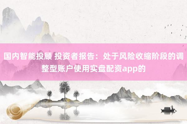 国内智能投顾 投资者报告：处于风险收缩阶段的调整型账户使用实盘配资app的