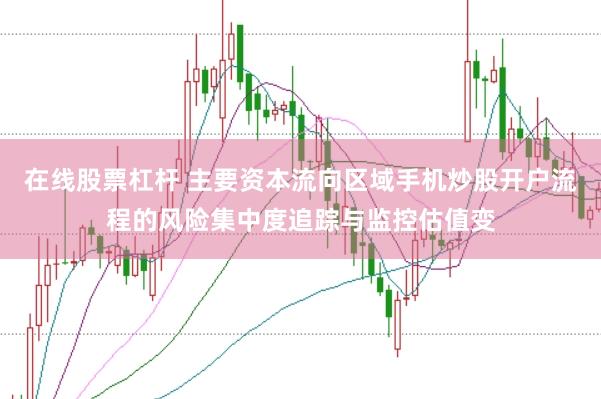 在线股票杠杆 主要资本流向区域手机炒股开户流程的风险集中度追踪与监控估值变