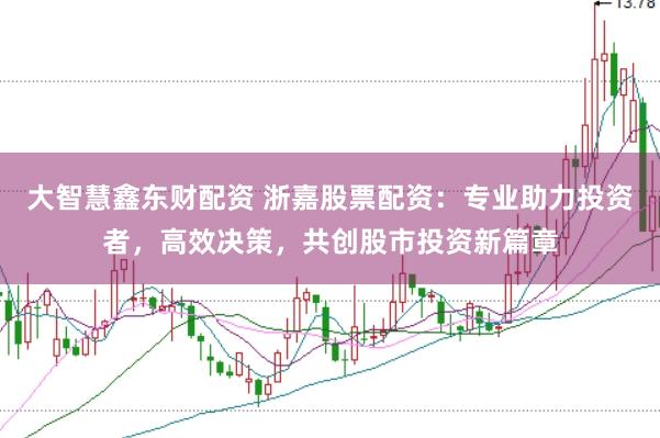 大智慧鑫东财配资 浙嘉股票配资：专业助力投资者，高效决策，共创股市投资新篇章