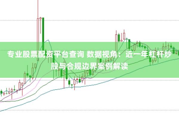 专业股票配资平台查询 数据视角：近一年杠杆炒股与合规边界案例解读