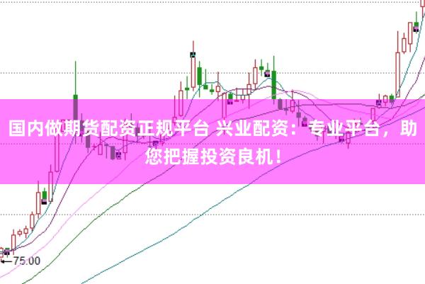 国内做期货配资正规平台 兴业配资：专业平台，助您把握投资良机！