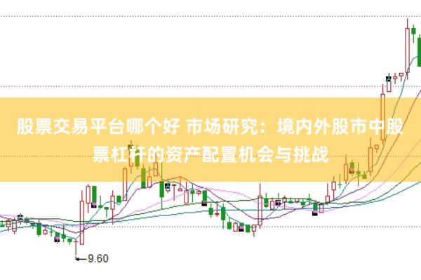 股票交易平台哪个好 市场研究：境内外股市中股票杠杆的资产配置机会与挑战